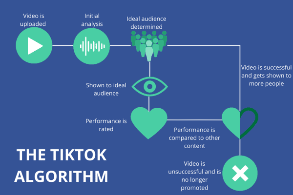 TikTok Algorithm Infographic