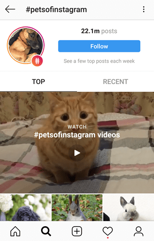 How to Find Top and Trending Hashtags to Use on Instagram